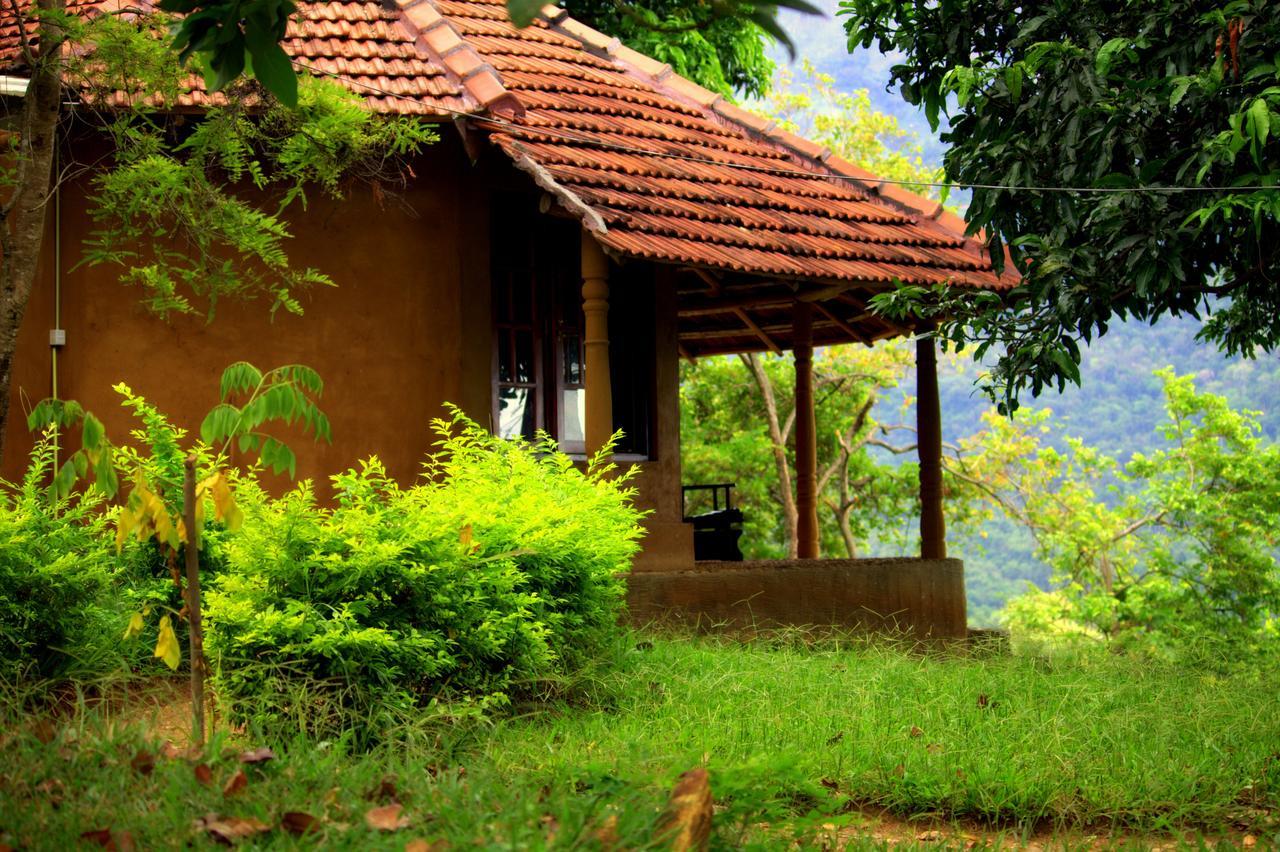 Pepper Hills Cottages إيلا المظهر الخارجي الصورة