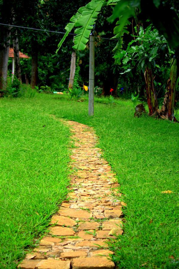 Pepper Hills Cottages إيلا المظهر الخارجي الصورة