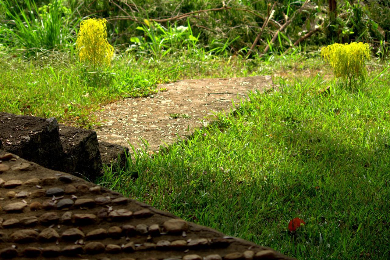 Pepper Hills Cottages إيلا المظهر الخارجي الصورة