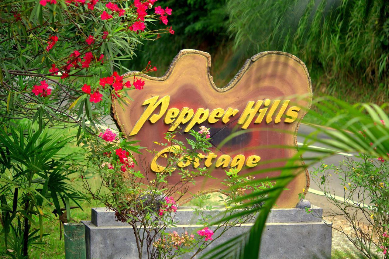 Pepper Hills Cottages إيلا المظهر الخارجي الصورة