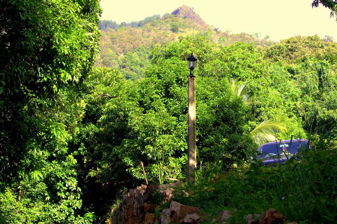 Pepper Hills Cottages إيلا المظهر الخارجي الصورة