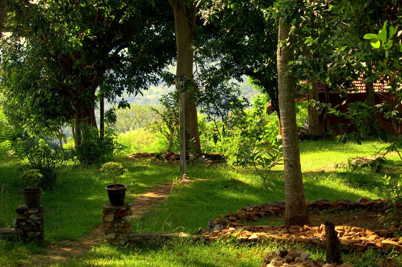 Pepper Hills Cottages إيلا المظهر الخارجي الصورة